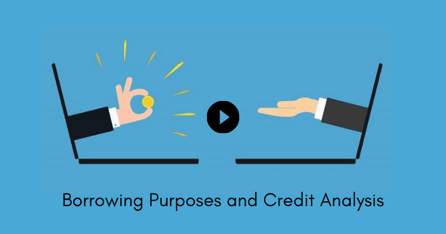 Borrowing Purposes and Credit Analysis