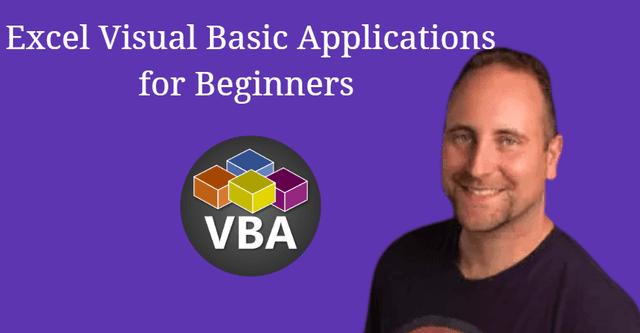 Excel Visual Basic Applications for Beginners