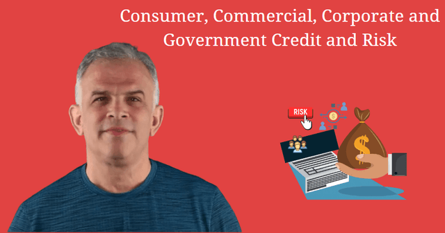 Consumer, Commercial, Corporate and Government Credit and Risk