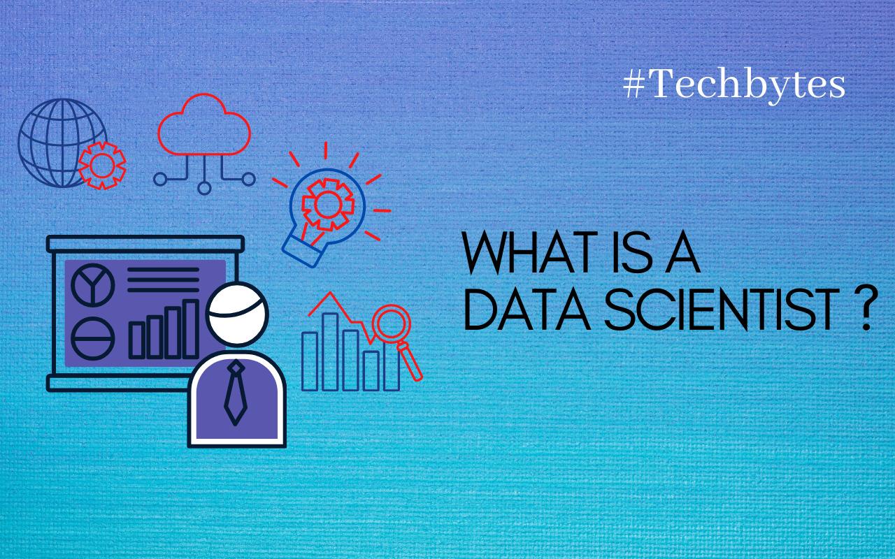 What is a Data Scientist ?